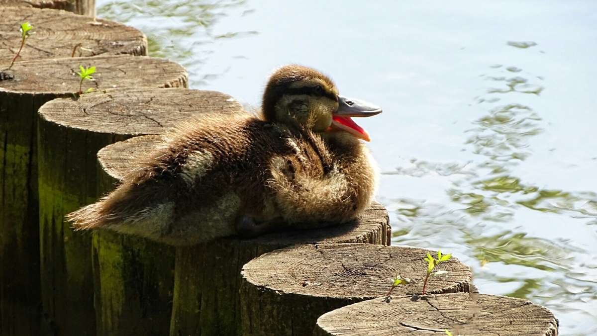 ��������� ����� ������. ����� �������� �������� �� PhotoGeek.ru #����� #�������� ���