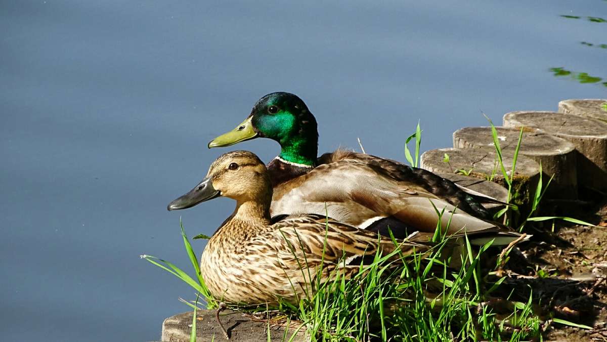 � ���� ���� ��� ��� ����. ����� �������� �������� �� PhotoGeek.ru #����� #�����