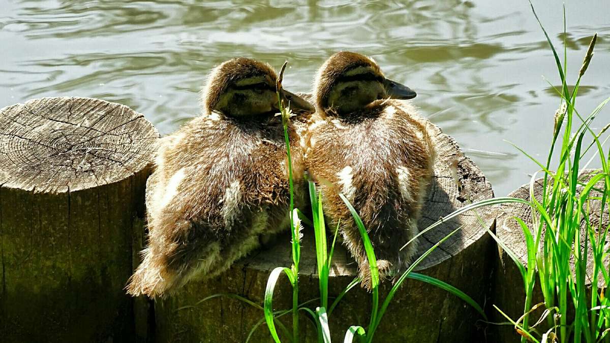 ��������. ����� �������� �������� �� PhotoGeek.ru #����� #�������� ���