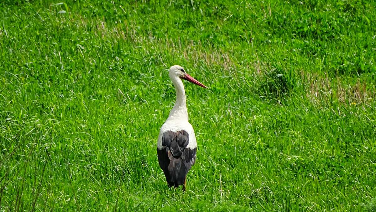 ���� ������ ����������� �����. ����� �������� �������� �� PhotoGeek.ru #�������� ���