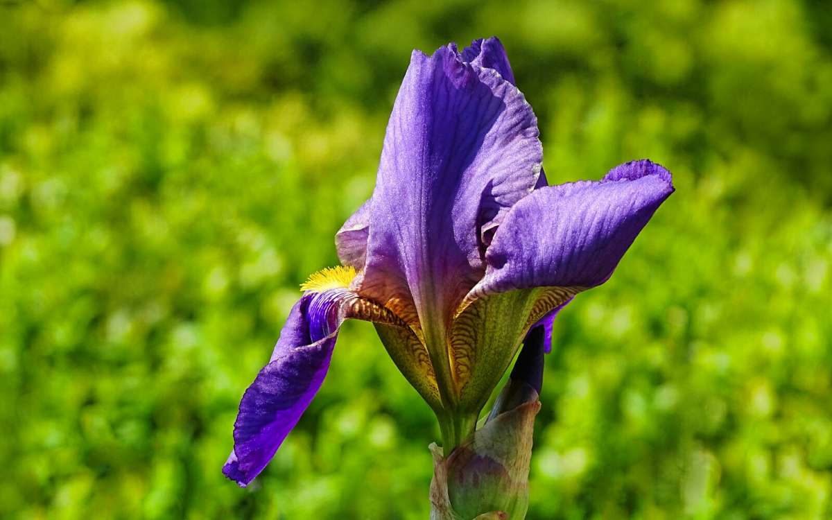 ����� ������. ����� �������� �������� �� PhotoGeek.ru #����� #�����