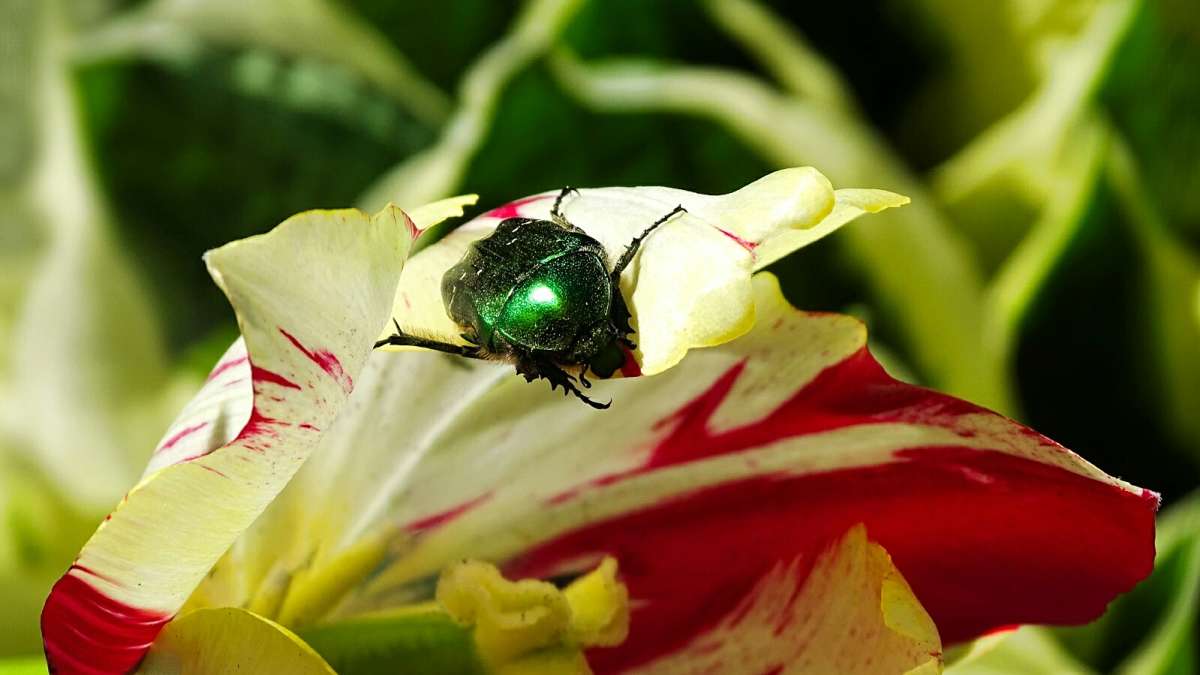 ��������� �� ��������. ����� �������� �������� �� PhotoGeek.ru #����� #�����