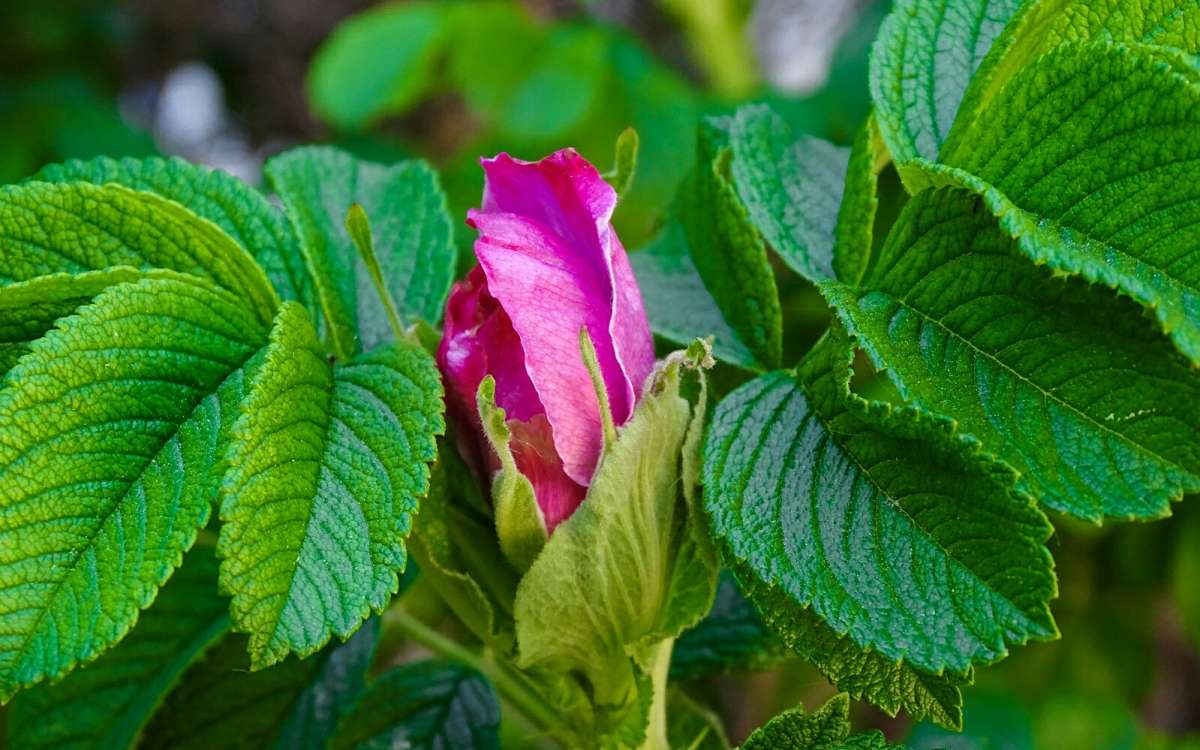 ������� ���������. ����� �������� �������� �� PhotoGeek.ru #����� #�����