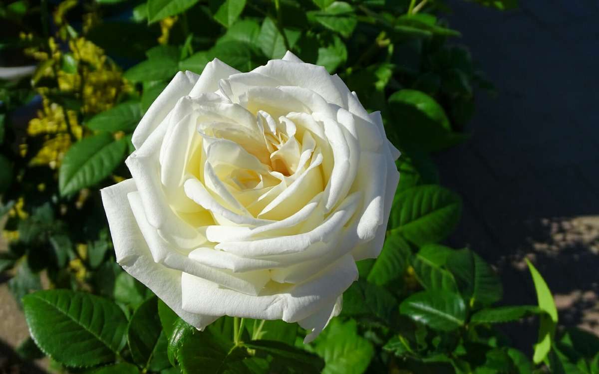 ��������� ����. ����� �������� �������� �� PhotoGeek.ru #����� #�����