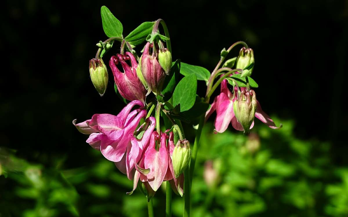 ��������� �������. ����� �������� �������� �� PhotoGeek.ru #����� #�����