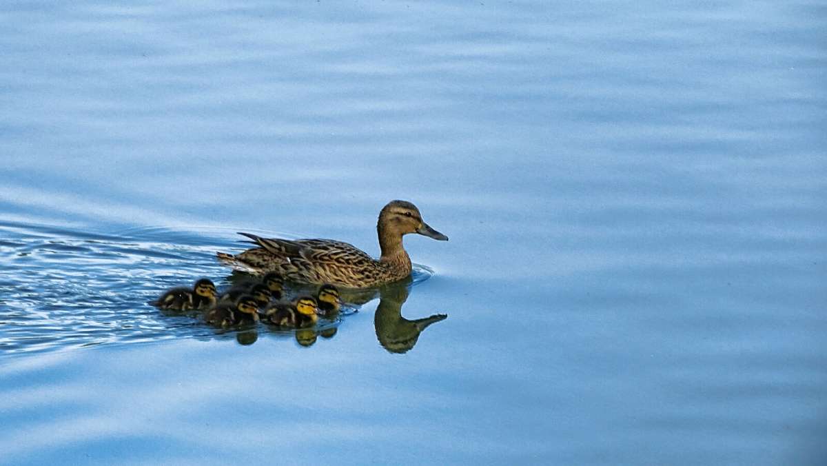 � ����� �� �������! ����� �������� �������� �� PhotoGeek.ru #����� #�������� ���