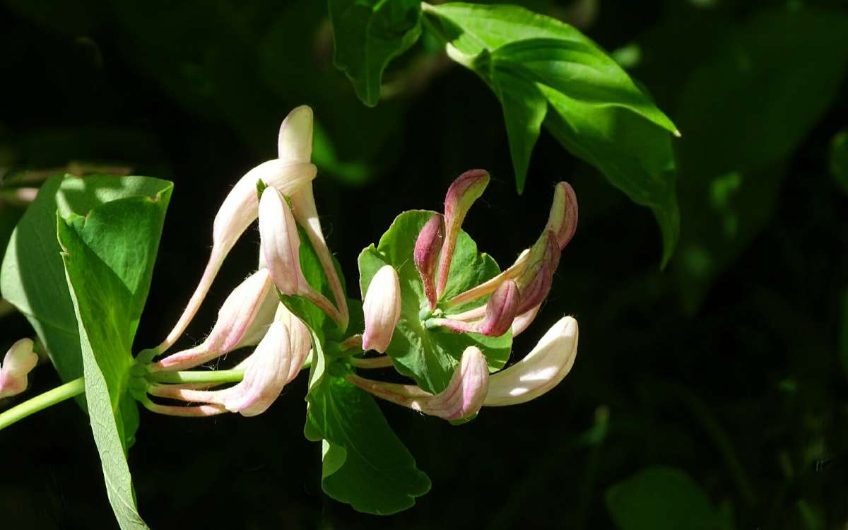 ���� ������� ���������. ����� �������� �������� �� PhotoGeek.ru #����� #�����