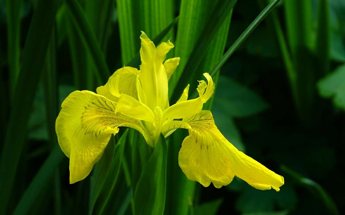 �������� ����. ����� �������� �������� �� PhotoGeek.ru #����� #�����