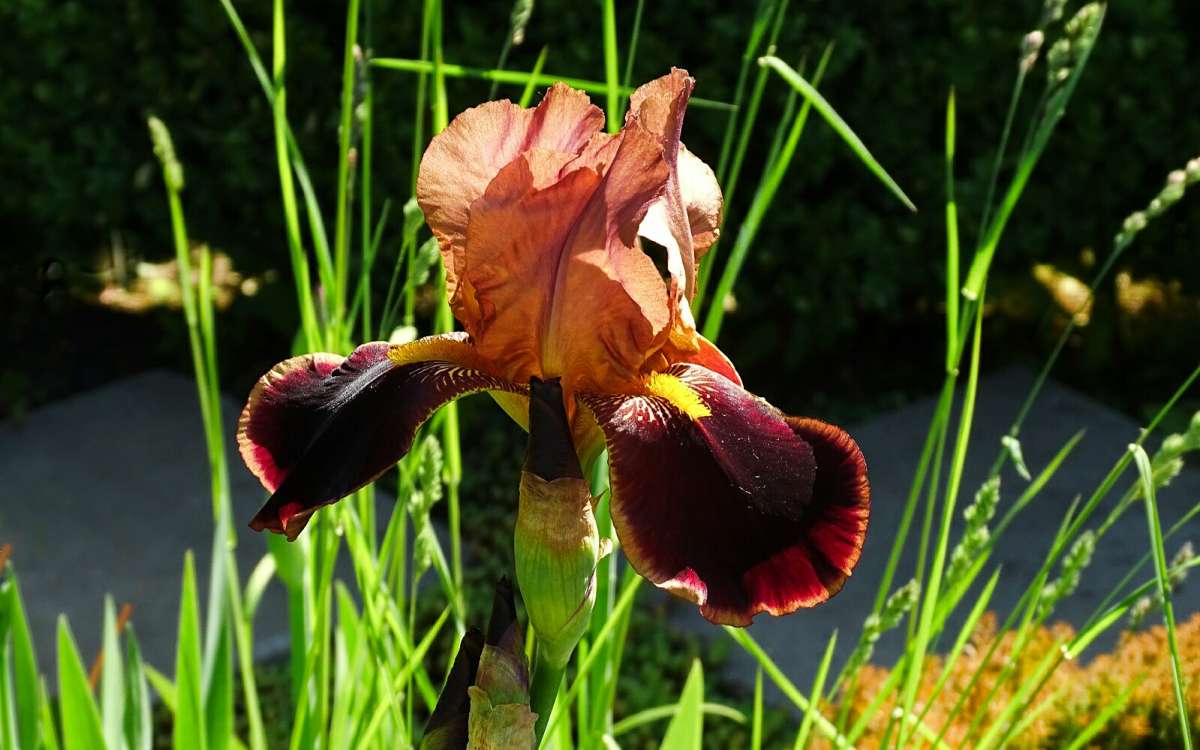 ��������� �����. ����� �������� �������� �� PhotoGeek.ru #����� #�����