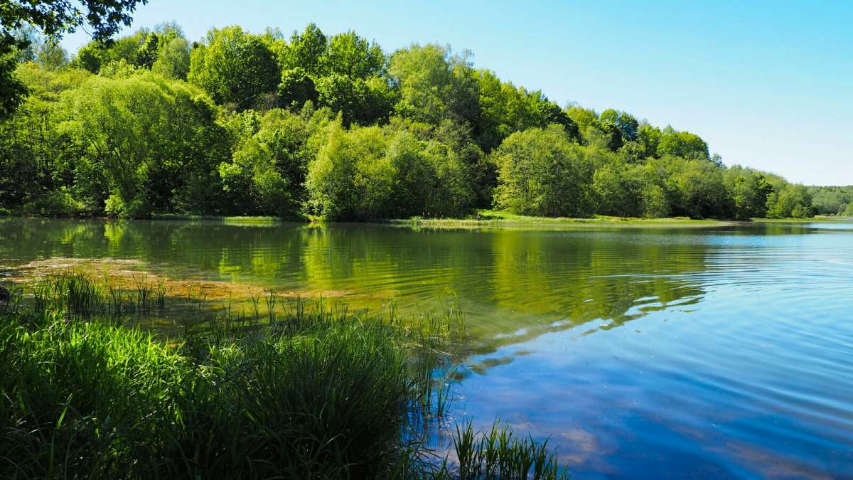 �������� ����������. ����� �������� �������� �� PhotoGeek.ru #������ ��� �������