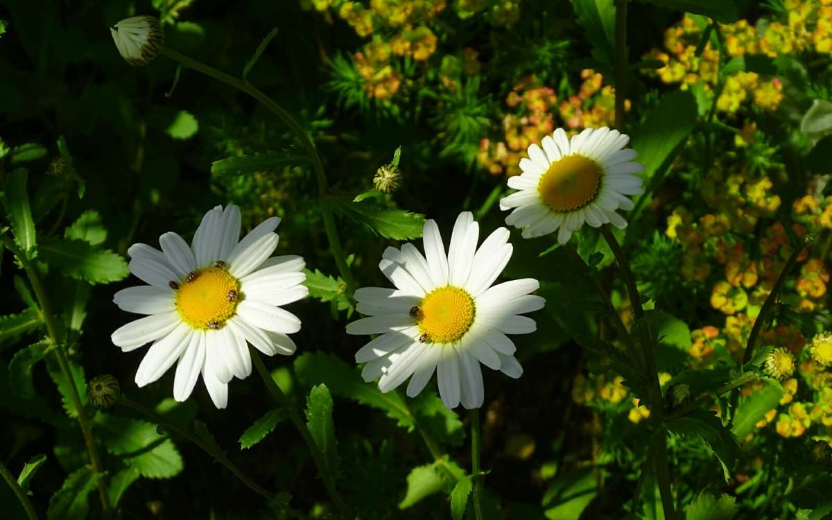 �����, �������� � �������. ����� �������� �������� �� PhotoGeek.ru #����� #����� #������ ��� �������