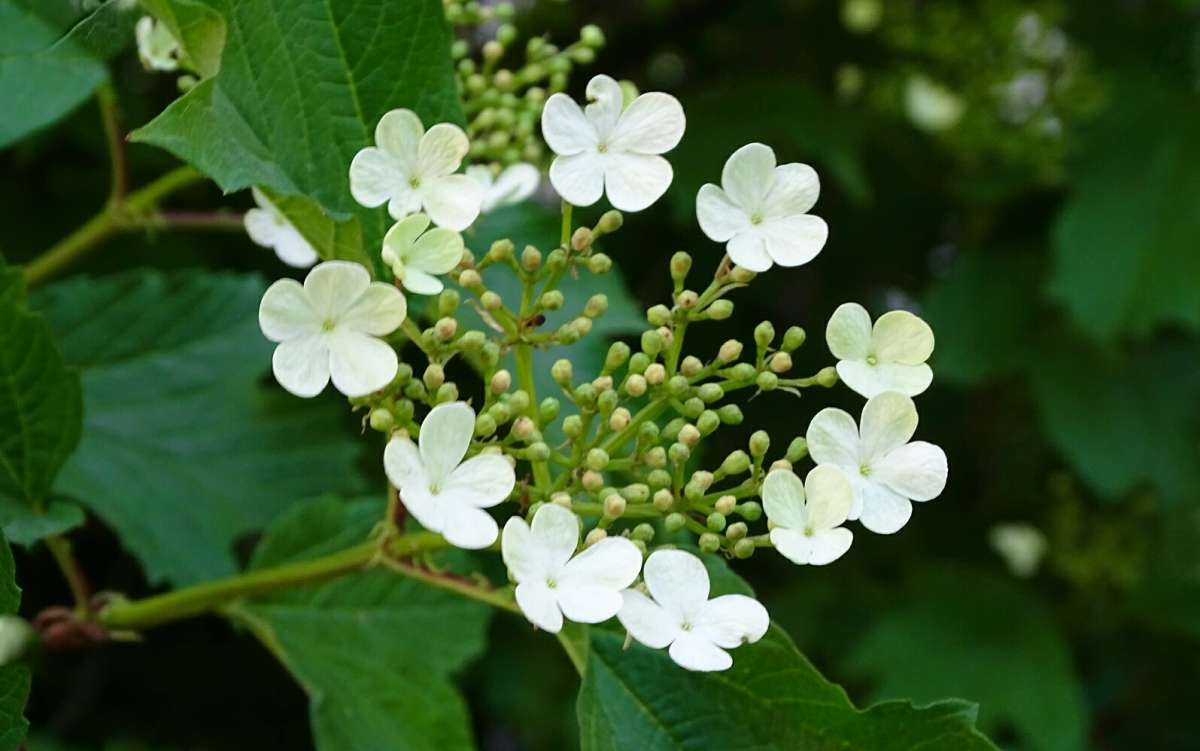 ���� ������. ����� �������� �������� �� PhotoGeek.ru #����� #�����