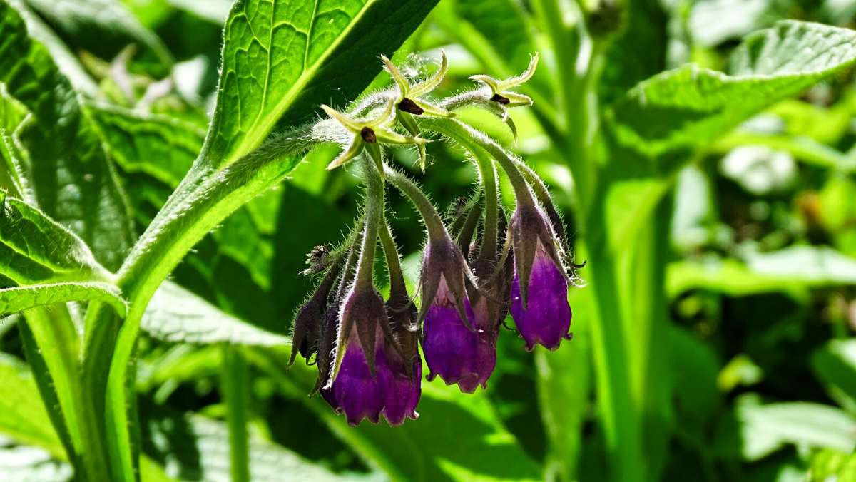 ����� �����. ����� �������� �������� �� PhotoGeek.ru #����� #�����