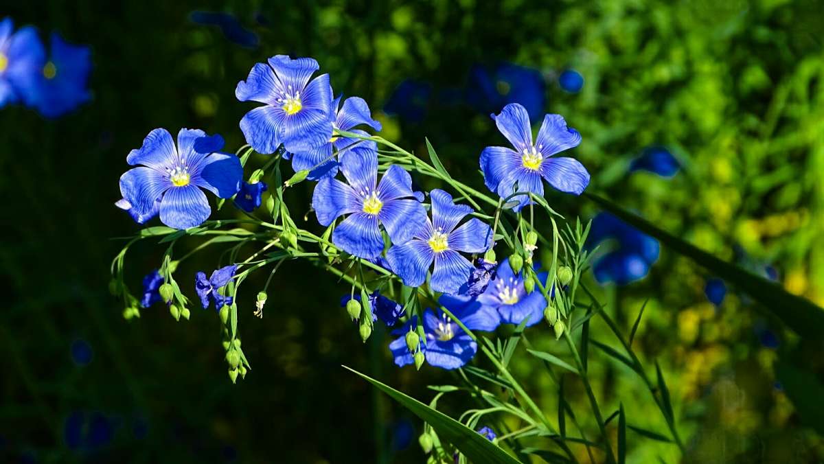 �������� ��. ����� �������� �������� �� PhotoGeek.ru #����� #�����