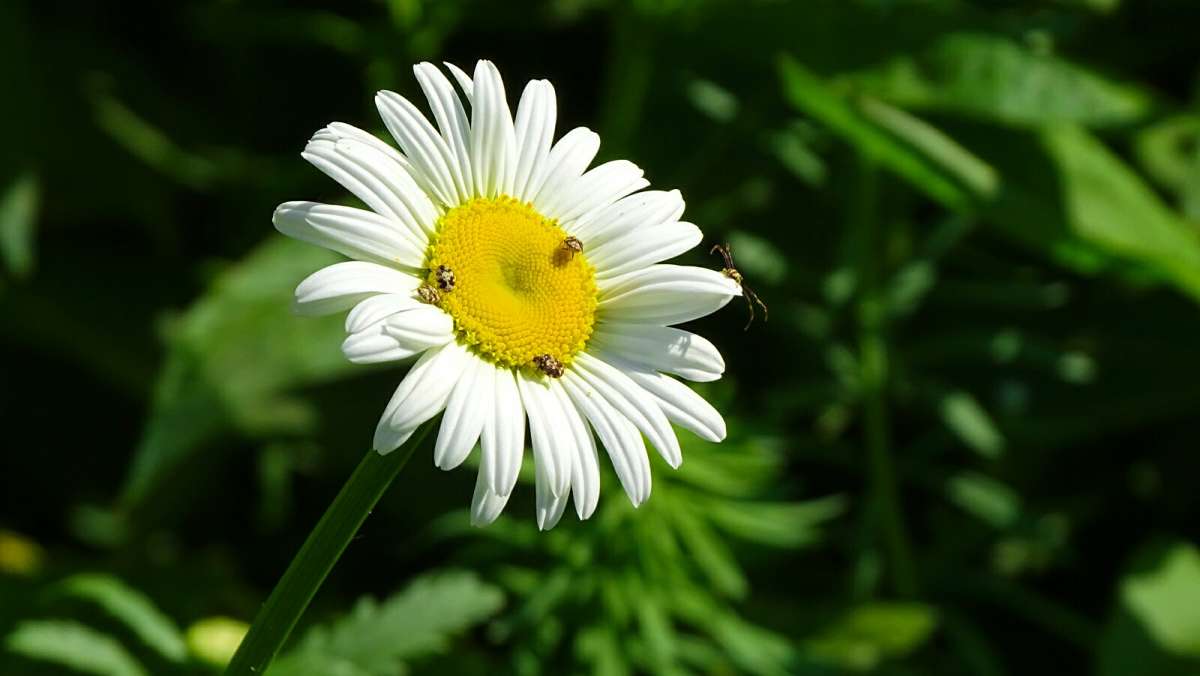 �������. ����� �������� �������� �� PhotoGeek.ru #����� #�����