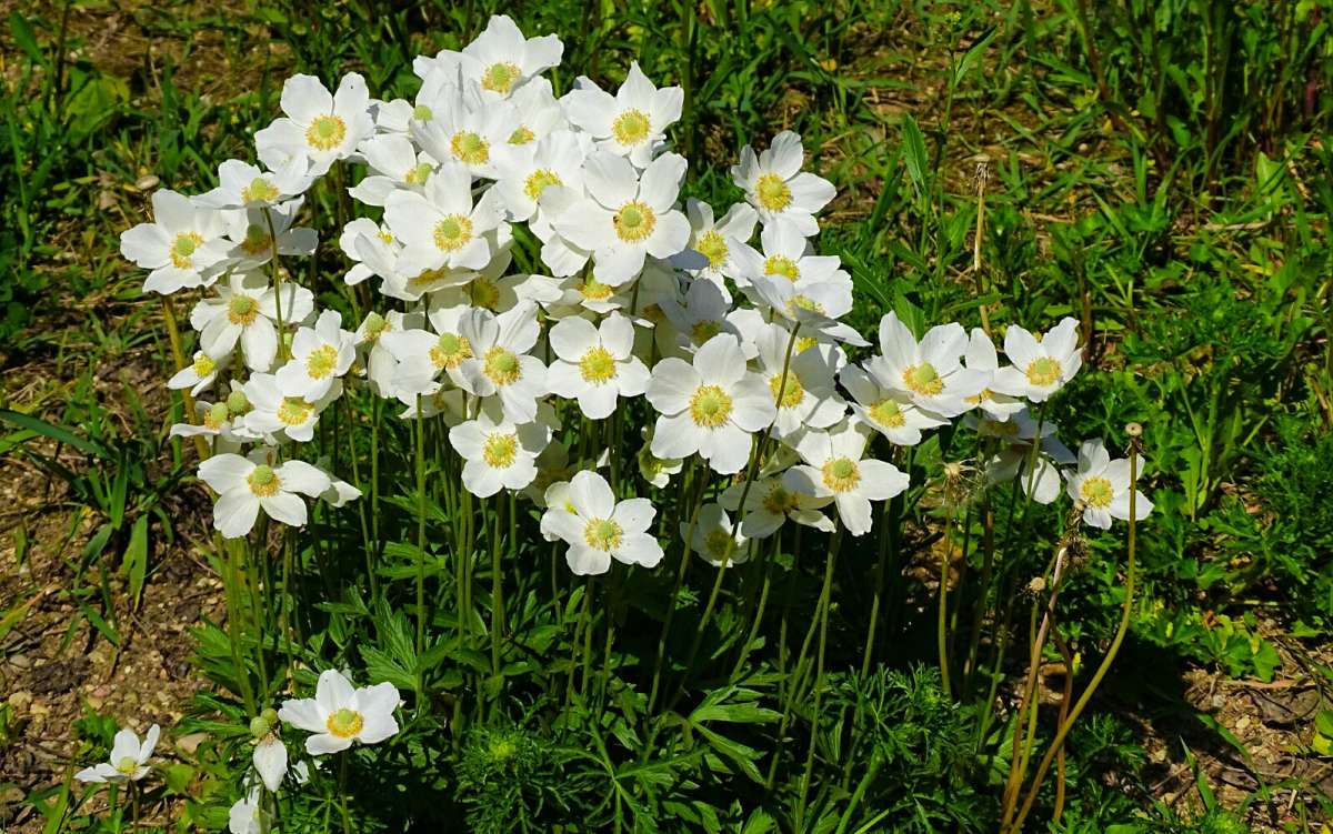 ������� �� ��������� ������. ����� �������� �������� �� PhotoGeek.ru #����� #�����