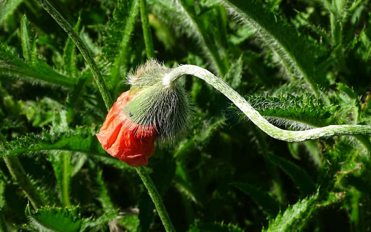 ���� ���. ����� �������� �������� �� PhotoGeek.ru #����� #�����