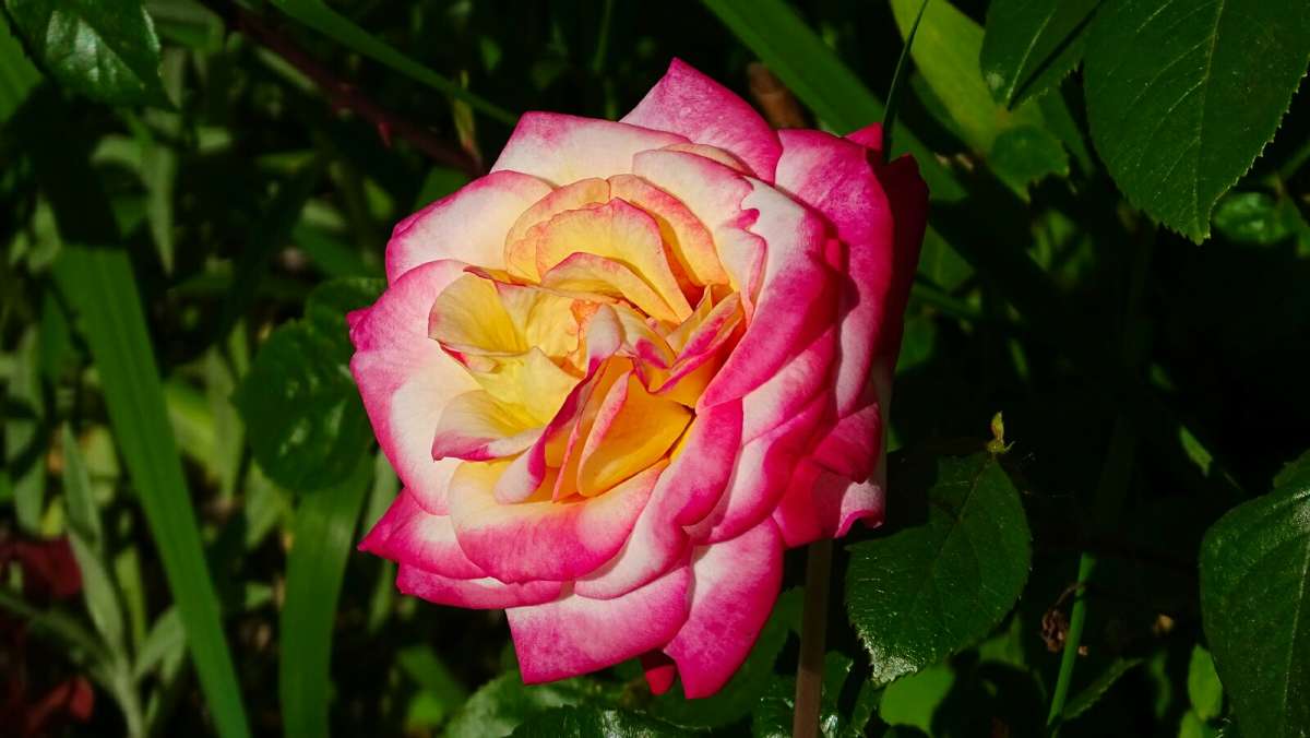 ���� �� ��������� ������. ����� �������� �������� �� PhotoGeek.ru #����� #�����