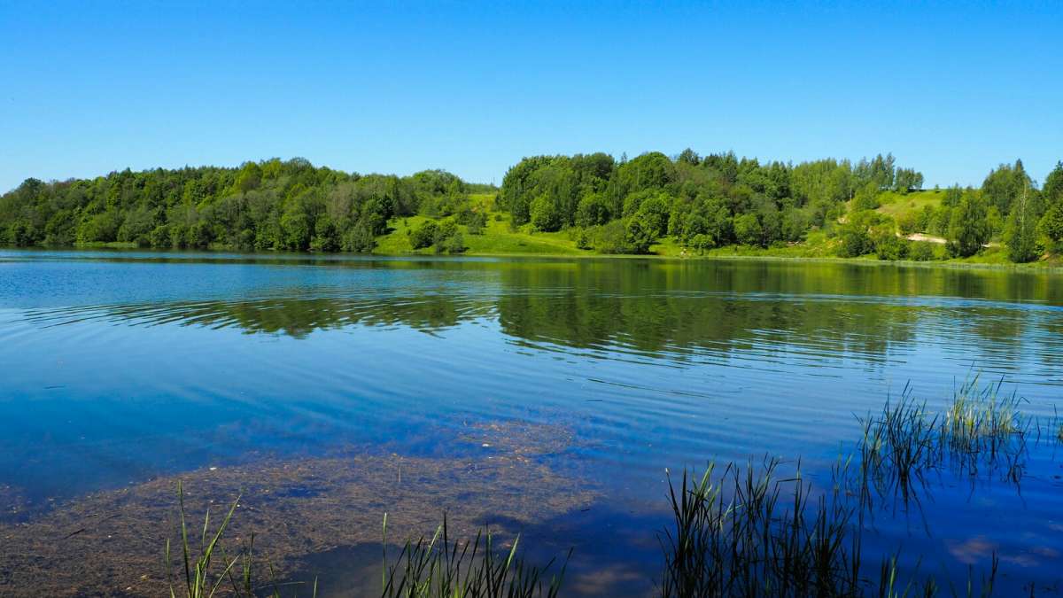 ��� ����. ����� �������� �������� �� PhotoGeek.ru #������ ��� �������