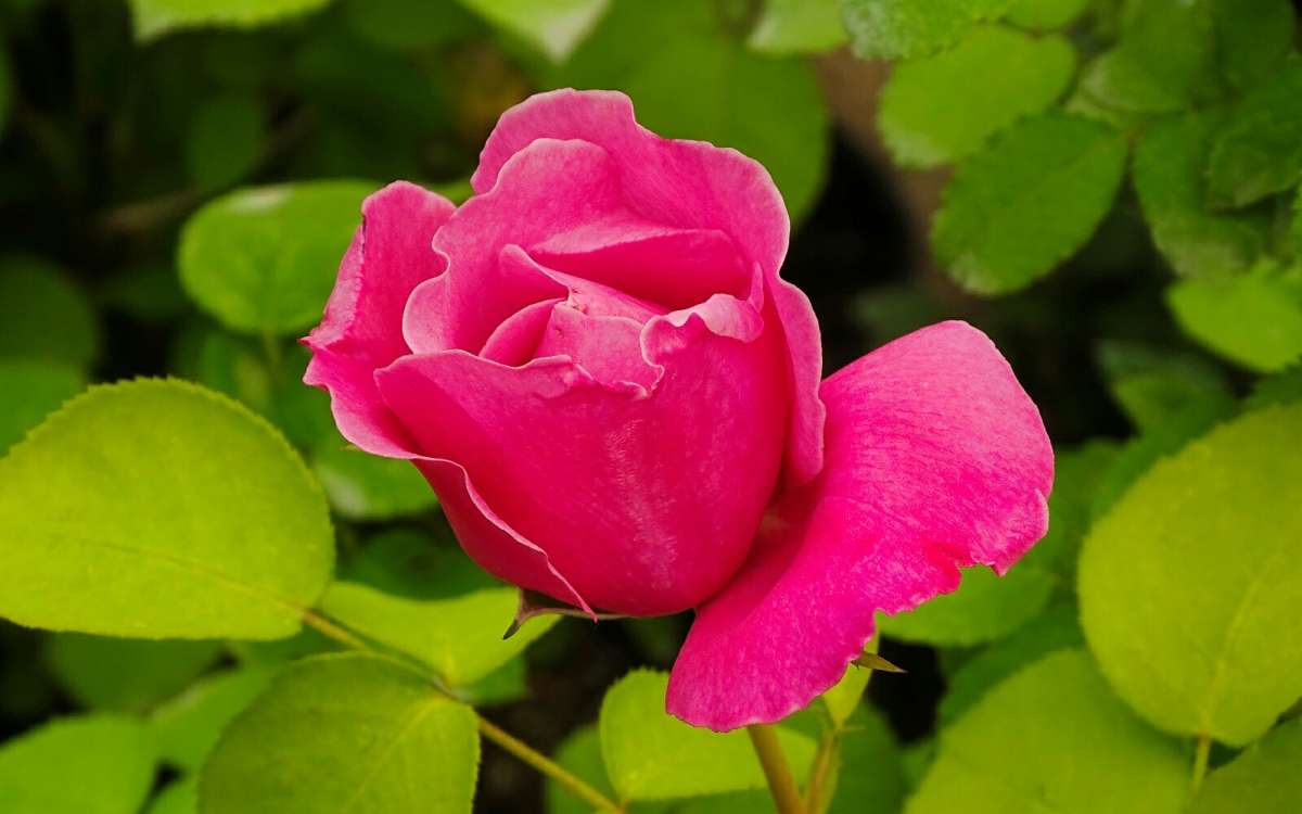 ��������� ����. ����� �������� �������� �� PhotoGeek.ru #����� #�����