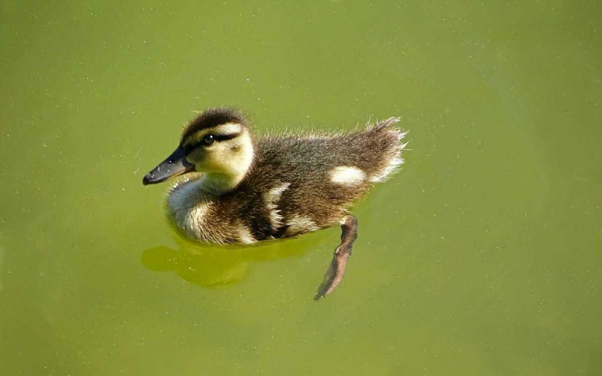 ����� ������. ����� �������� �������� �� PhotoGeek.ru #�������� ���