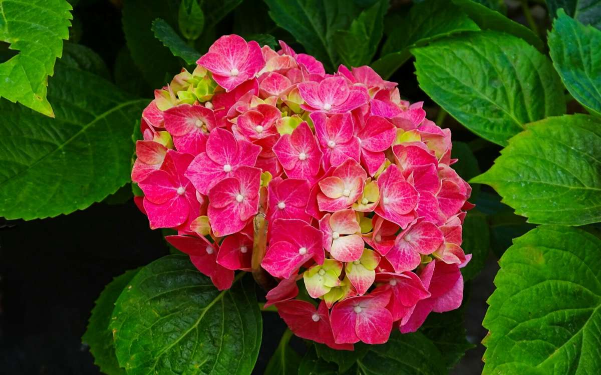 ���������. ����� �������� �������� �� PhotoGeek.ru #����� #�����