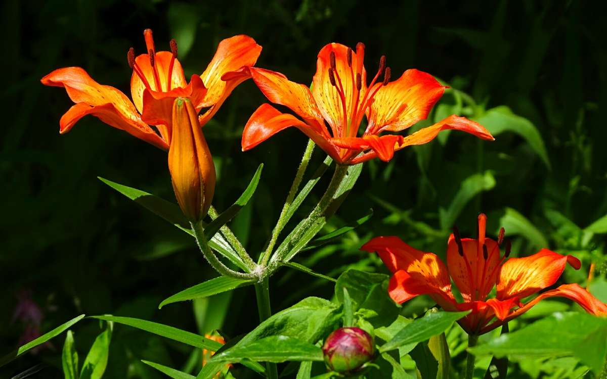 ��������� �����. ����� �������� �������� �� PhotoGeek.ru #����� #�����