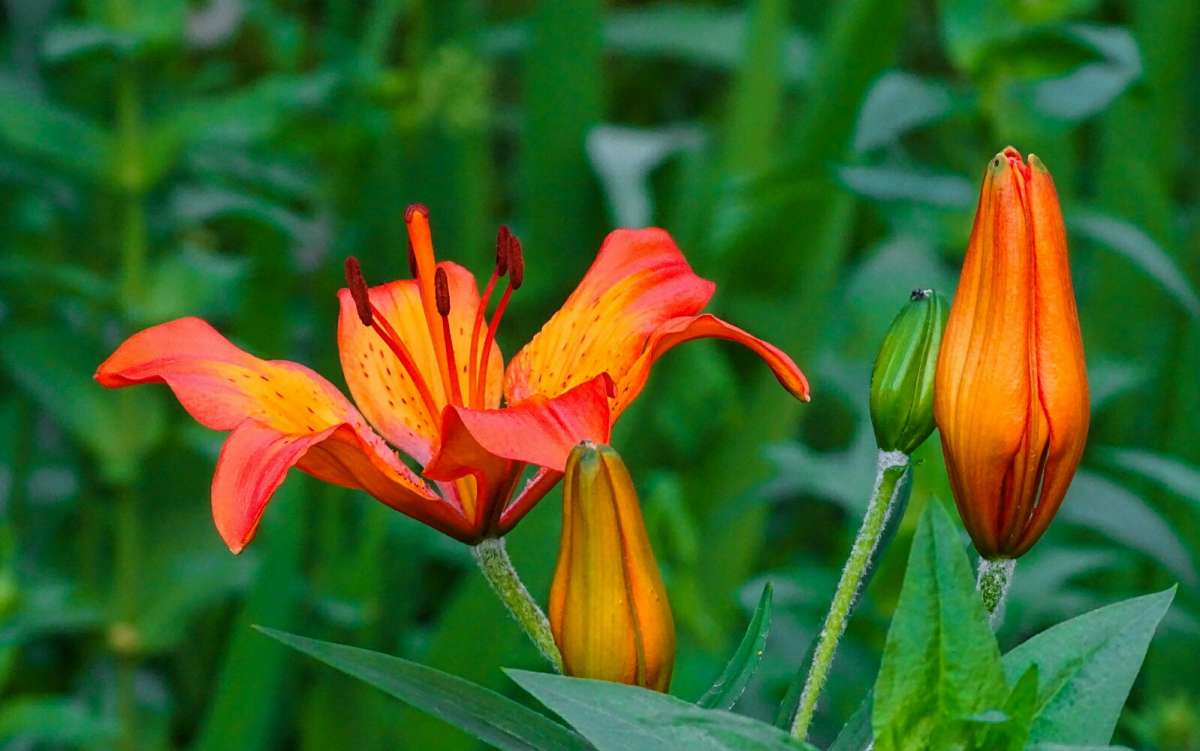 ��������� ����� - ������� ������� ����. ����� �������� �������� �� PhotoGeek.ru #����� #�����