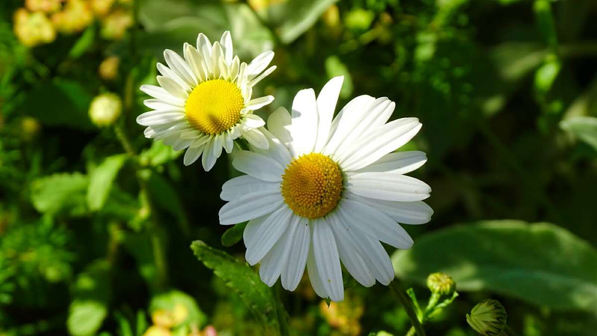 � ������. ����� �������� �������� �� PhotoGeek.ru #����� #�����