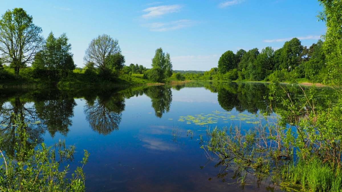 ������� ����������. ����� �������� �������� �� PhotoGeek.ru #������ ��� �������