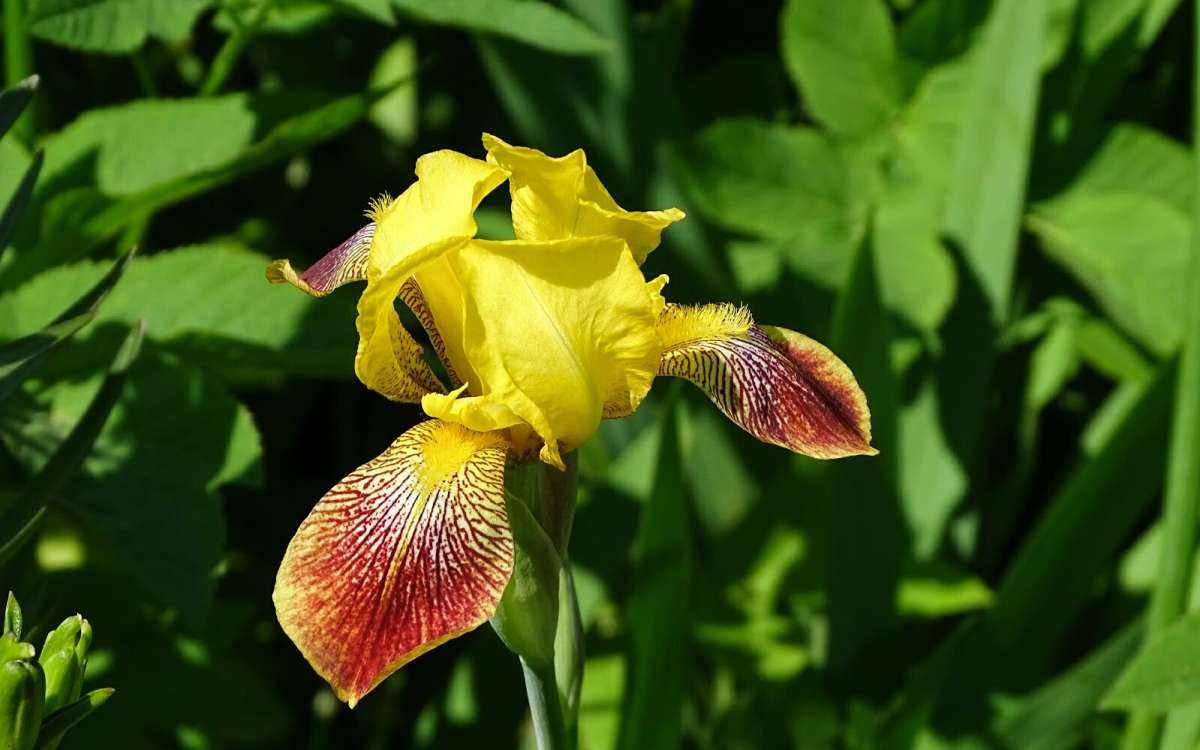 Природное совершенство. / Природное совершенство. / Фотография на ...