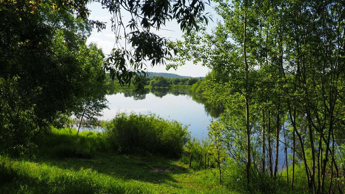 ��� ����������. ����� �������� �������� �� PhotoGeek.ru #������ ��� �������