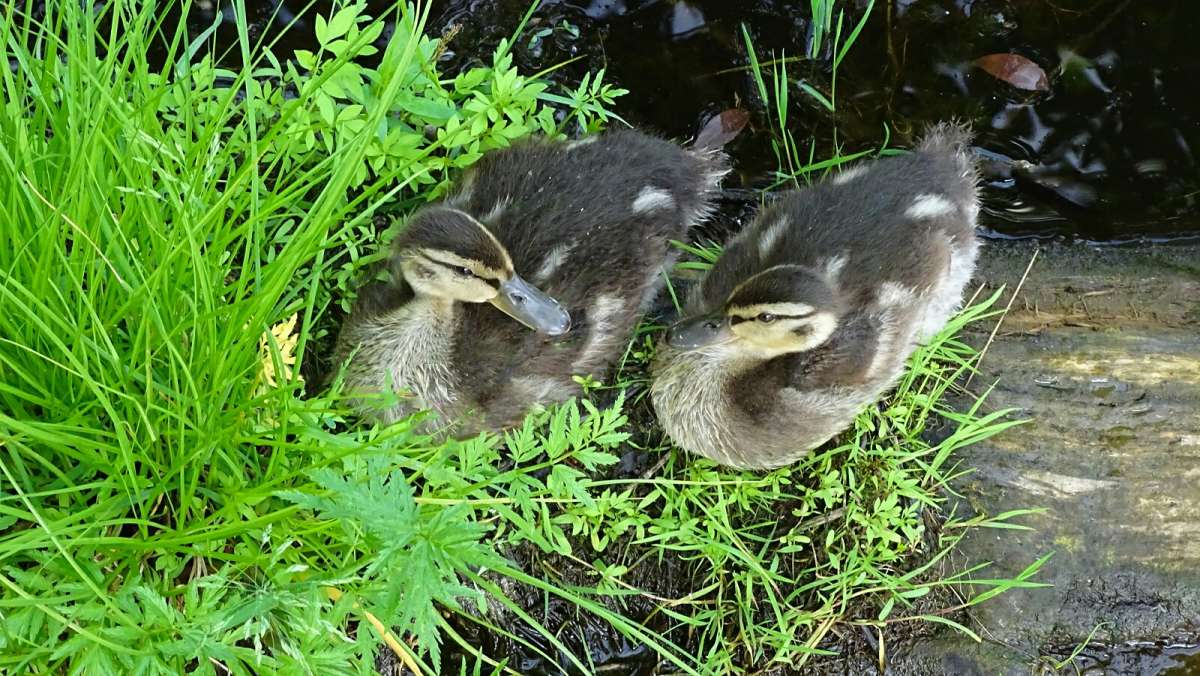 ������� ��������� ����� ������. ����� �������� �������� �� PhotoGeek.ru #�������� ���