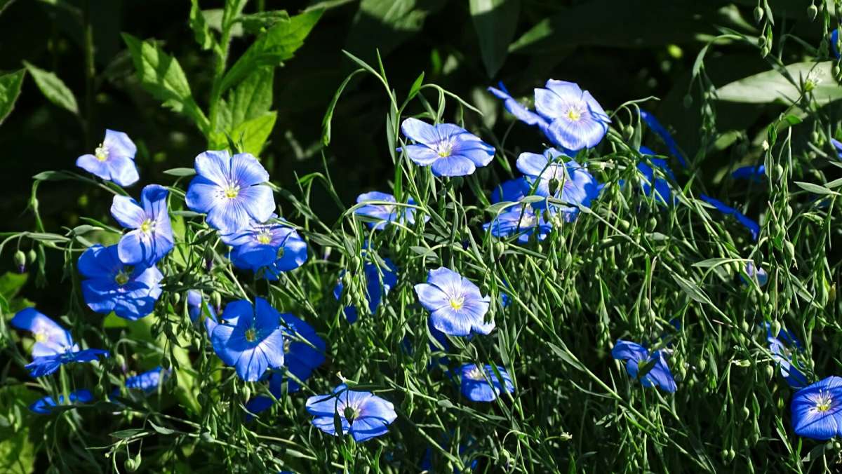 ����� ���� ����� �������� �������� �� PhotoGeek.ru #������ ��� �������