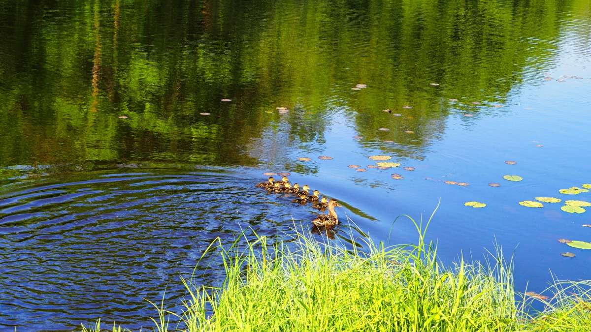 ������ � ��������. ����� �������� �������� �� PhotoGeek.ru #�������� ���