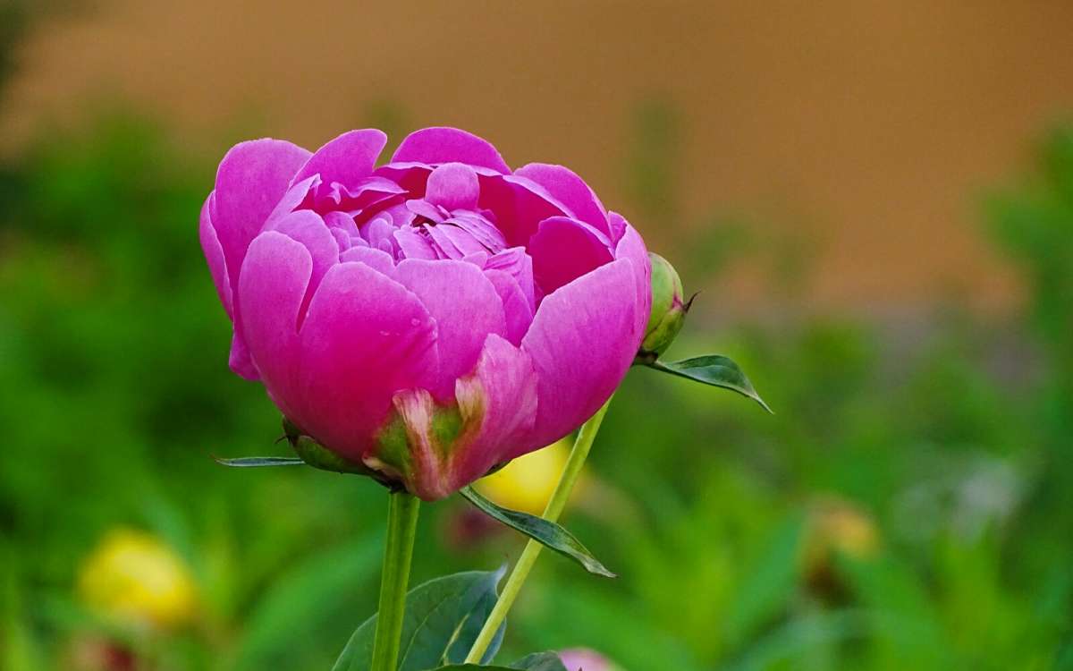 ���� �� ��������� ������. ����� �������� �������� �� PhotoGeek.ru #����� #�����