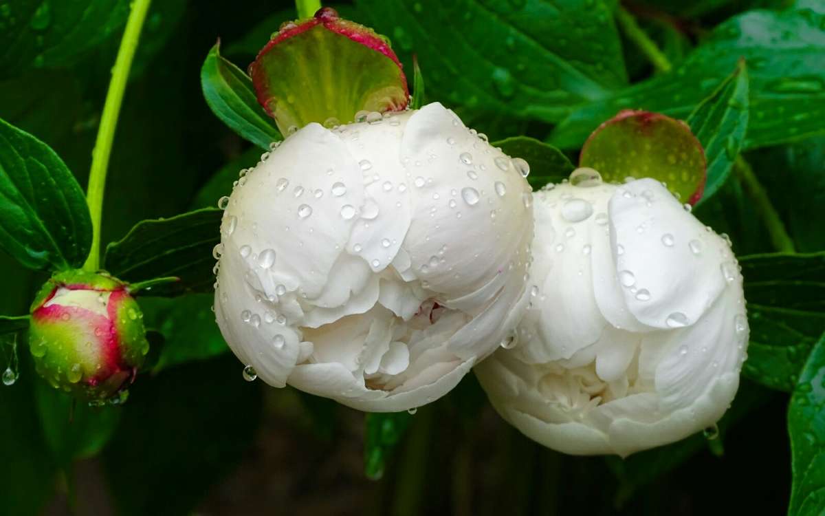 ������ ����� � ������. ����� �������� �������� �� PhotoGeek.ru #����� #�����