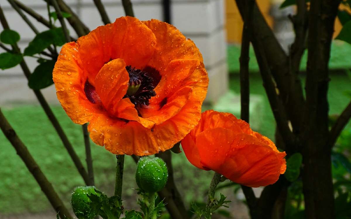 ��� � ����. ����� �������� �������� �� PhotoGeek.ru #����� #�����