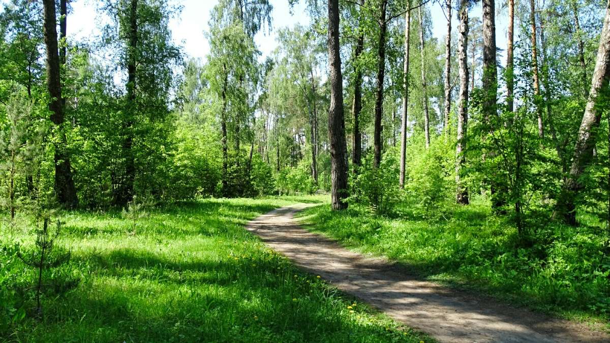 ��� � ��������� �������� ����. ����� �������� �������� �� PhotoGeek.ru #������ ��� �������