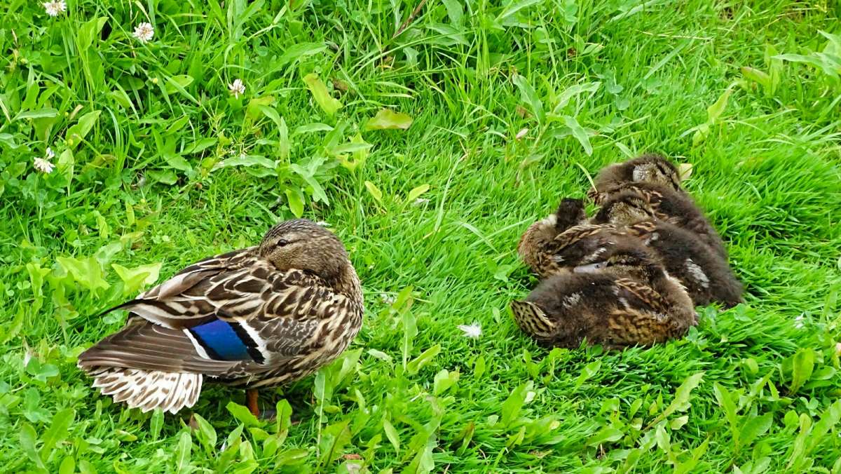 ������ ������. ����� �������� �������� �� PhotoGeek.ru #����� #�������� ���