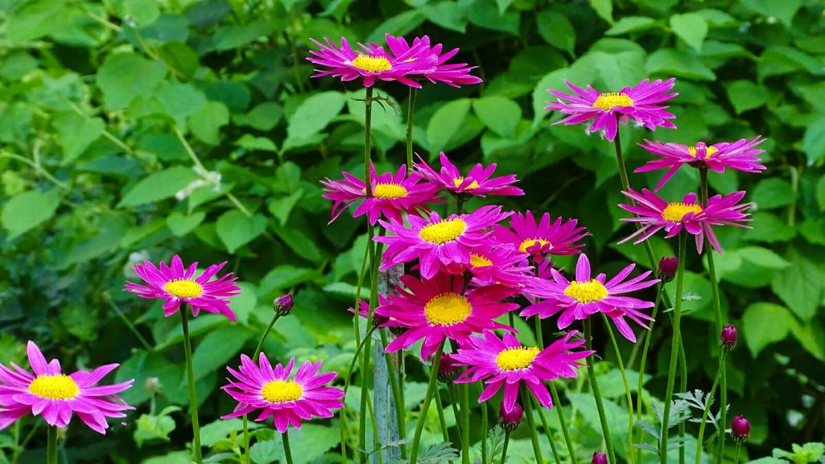 ��������� �����. ����� �������� �������� �� PhotoGeek.ru #����� #����� #������ ��� �������