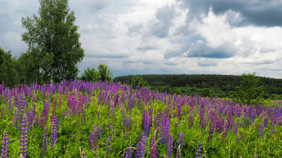 ��������� ����. ����� �������� �������� �� PhotoGeek.ru #������ ��� �������