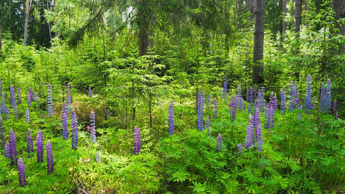 ������ ���. ����� �������� �������� �� PhotoGeek.ru #������ ��� �������