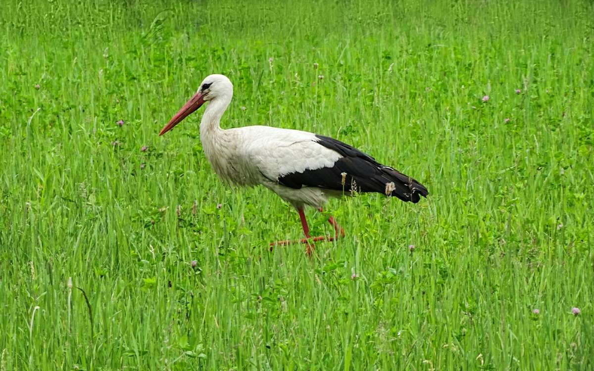 ���� � ������ ���� �� ���� ����� �����. ����� �������� �������� �� PhotoGeek.ru #�������� ���