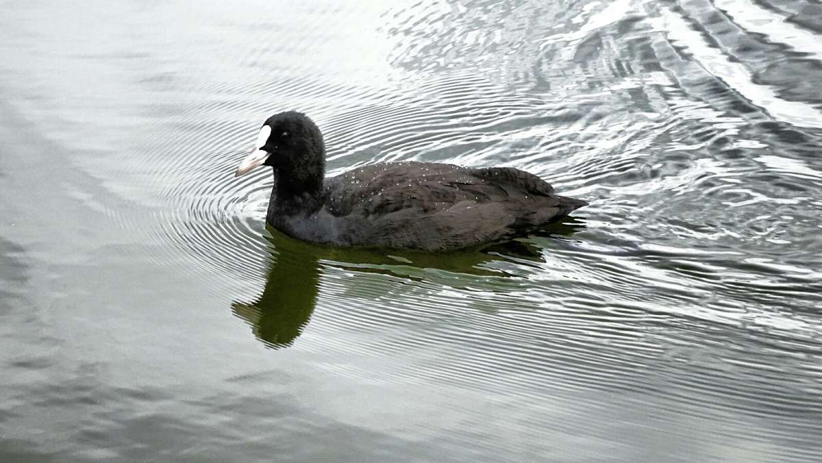 ������. ����� �������� �������� �� PhotoGeek.ru #�������� ���