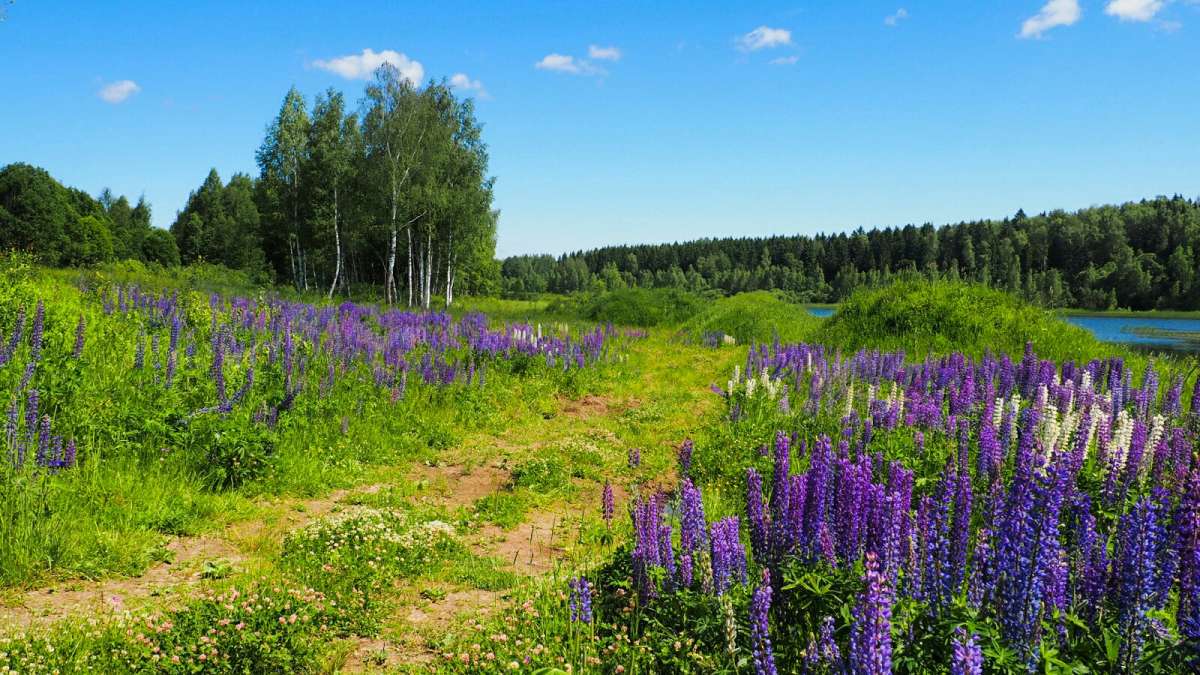 ���� ����. ����� �������� �������� �� PhotoGeek.ru #������ ��� �������