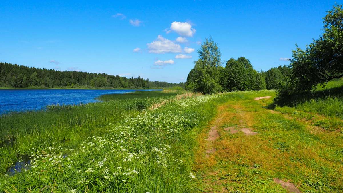 ���� � �������. ����� �������� �������� �� PhotoGeek.ru #������ ��� �������