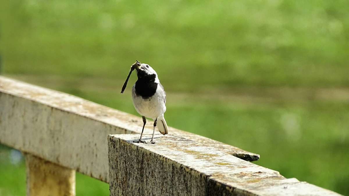 ���������� � �������. ����� �������� �������� �� PhotoGeek.ru #�������� ���