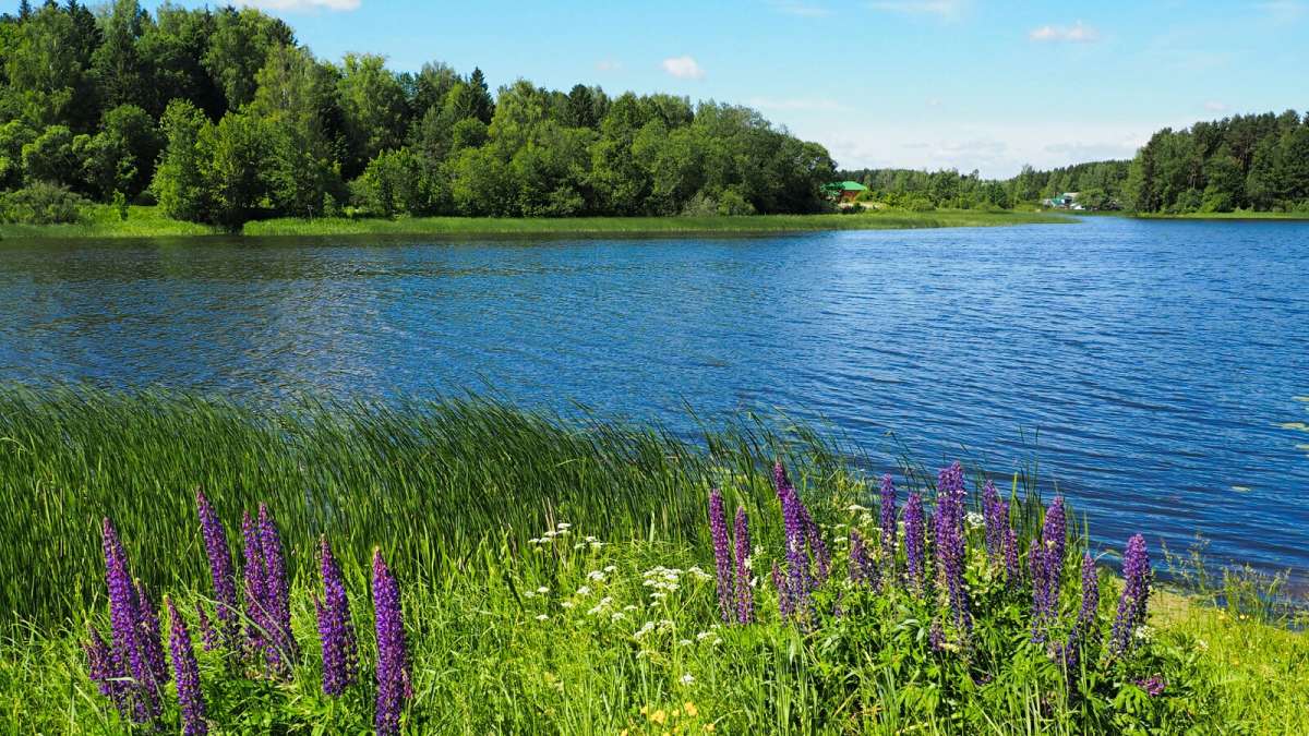 ������� ����������. ����� �������� �������� �� PhotoGeek.ru #������ ��� �������