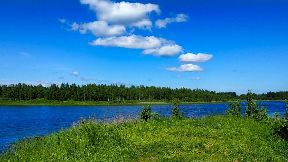 ���� ����������. ����� �������� �������� �� PhotoGeek.ru #������ ��� �������